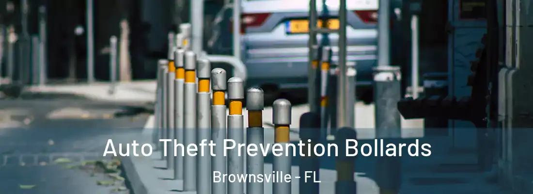 Auto Theft Prevention Bollards Brownsville - FL