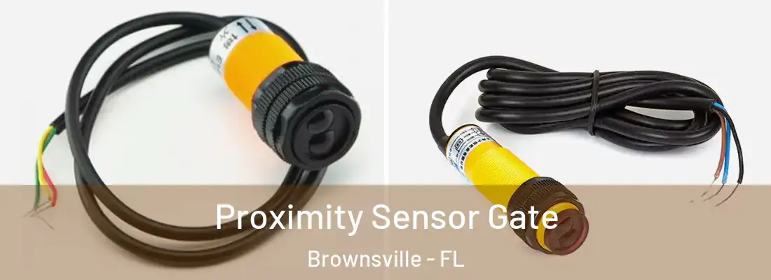  Proximity Sensor Gate Brownsville - FL